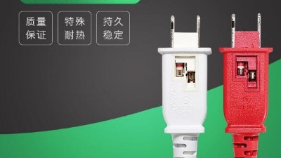 2021年，我們不見(jiàn)不散-電源線廠家